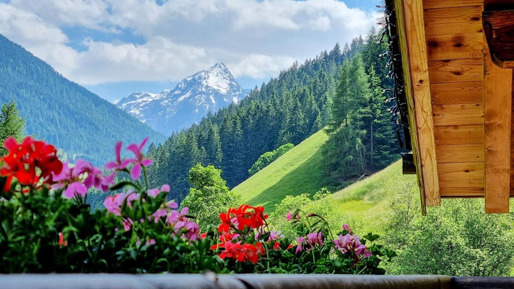 Gaestehaus Landhaus Tyrol Грийс-им-Селрейн Екстериор снимка